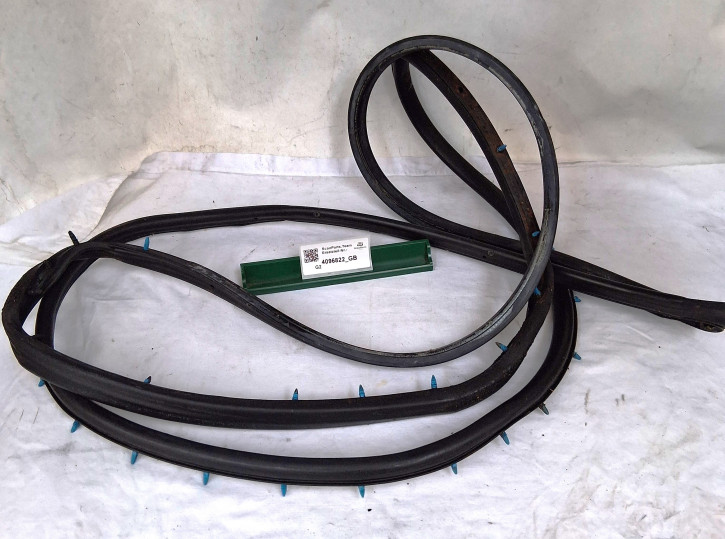 Türdichtung 900 Coupe links