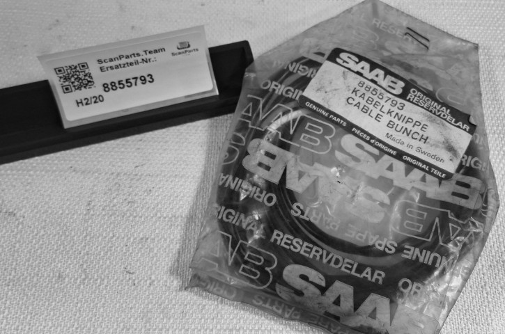 CABLE BRUNCH 8855793