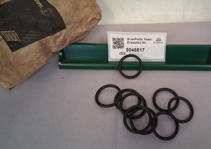 O-RING BENZINPUMPE VERGASER 90 99 900
