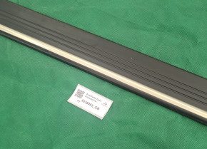 DECOR STRIP FRONT DOOR 900